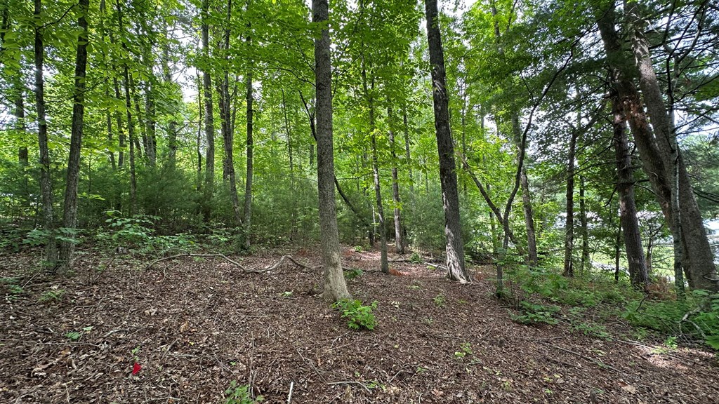 Lot 14 Old Hwy 64e Property Photo 7