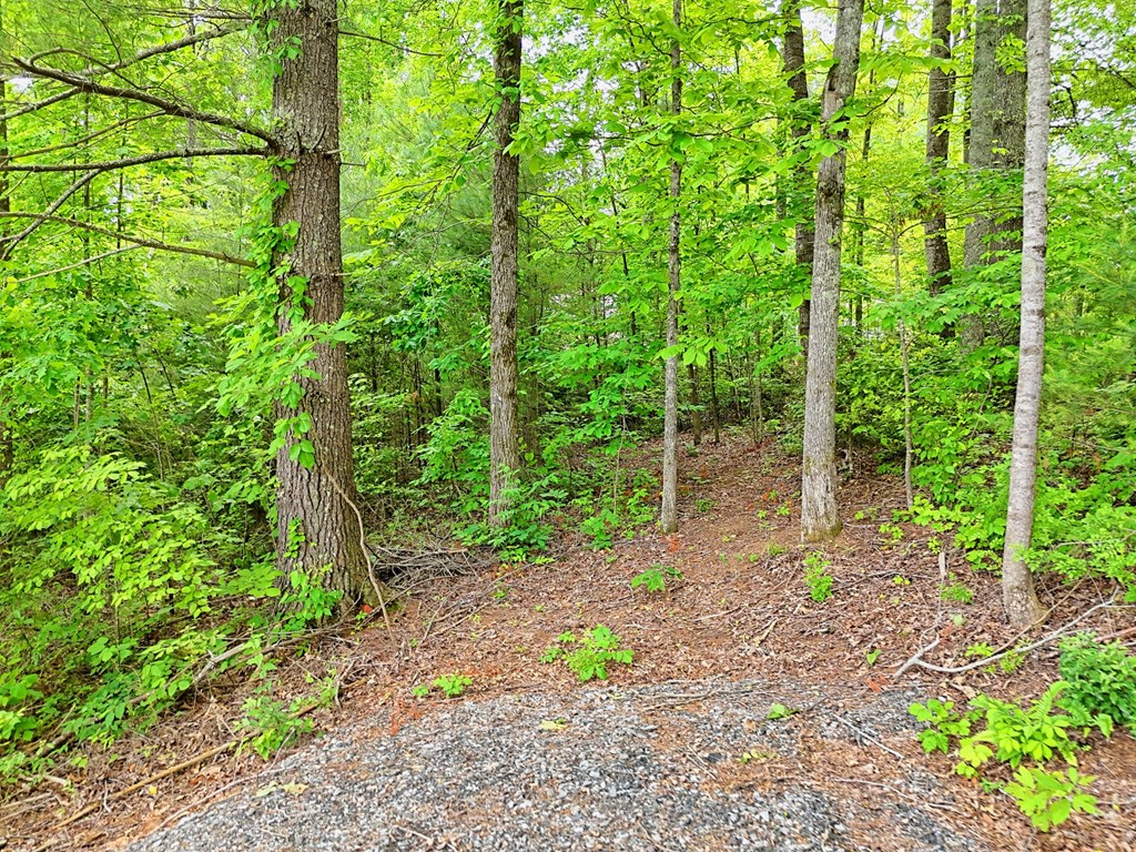 Lot 14 Old Hwy 64e Property Photo 8