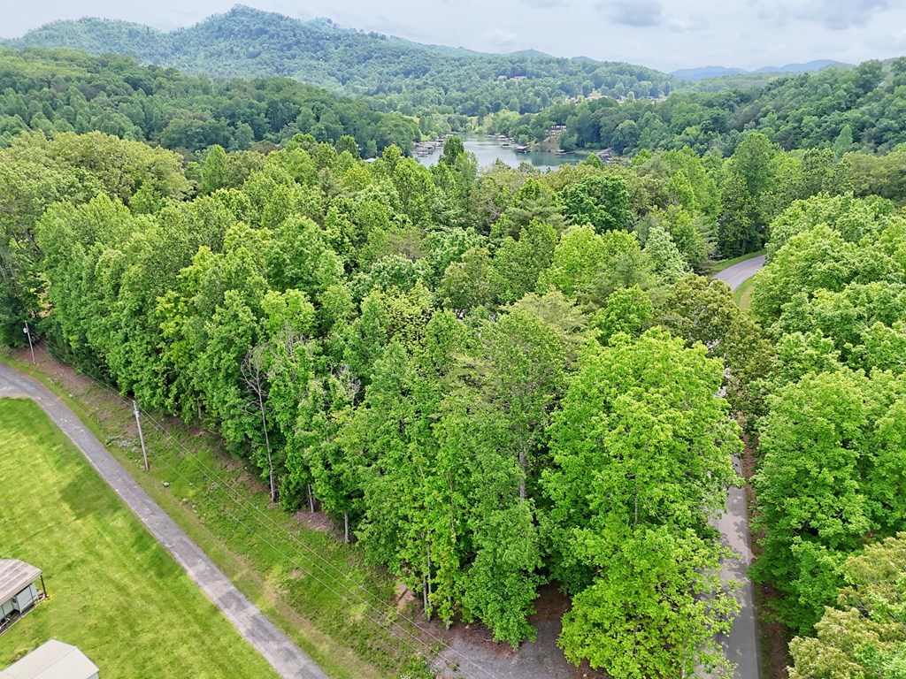 Lot 14 Old Hwy 64e Property Photo 10