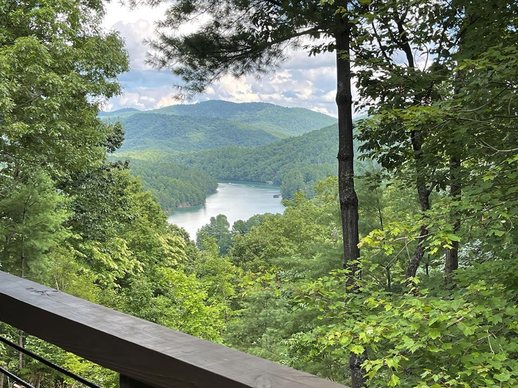 467 Necowa Cove Overlook Property Photo 1