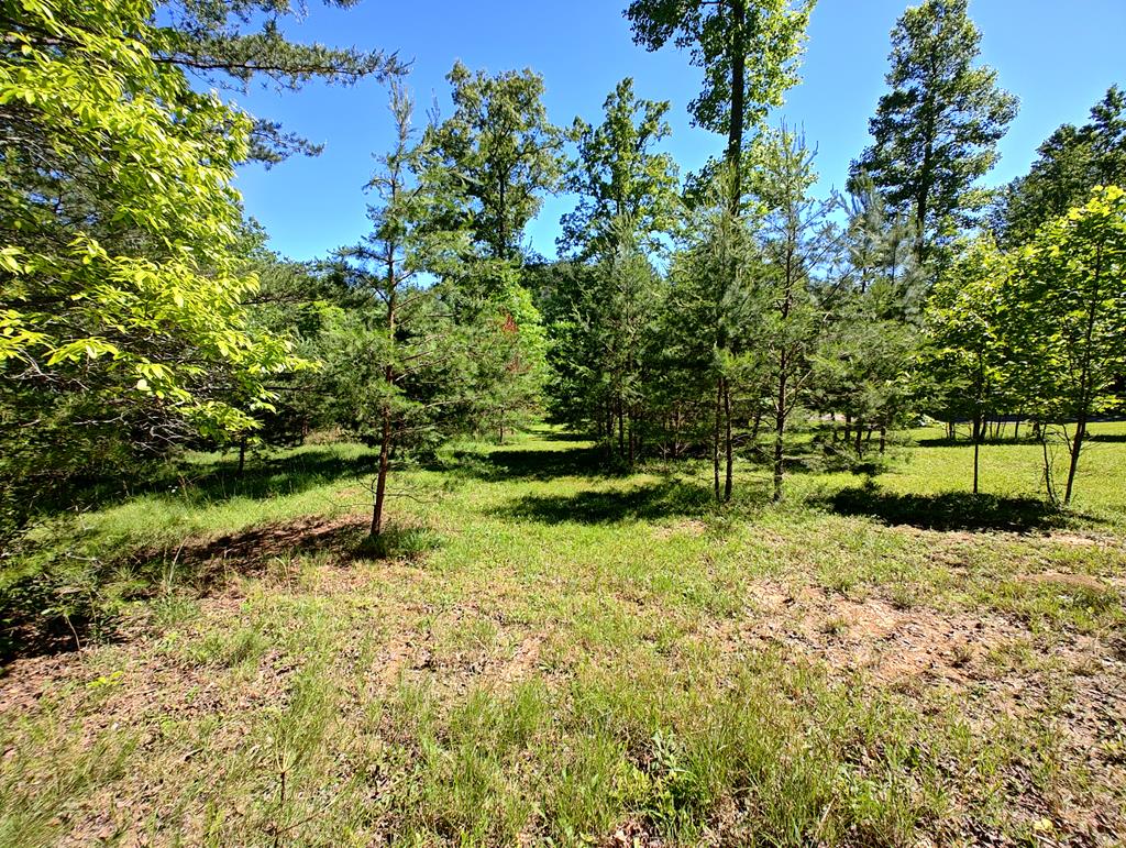 11 & 12 Cabin Run Lane Property Photo 1