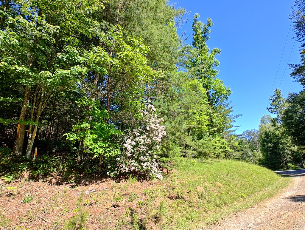 11 & 12 Cabin Run Lane Property Photo 4