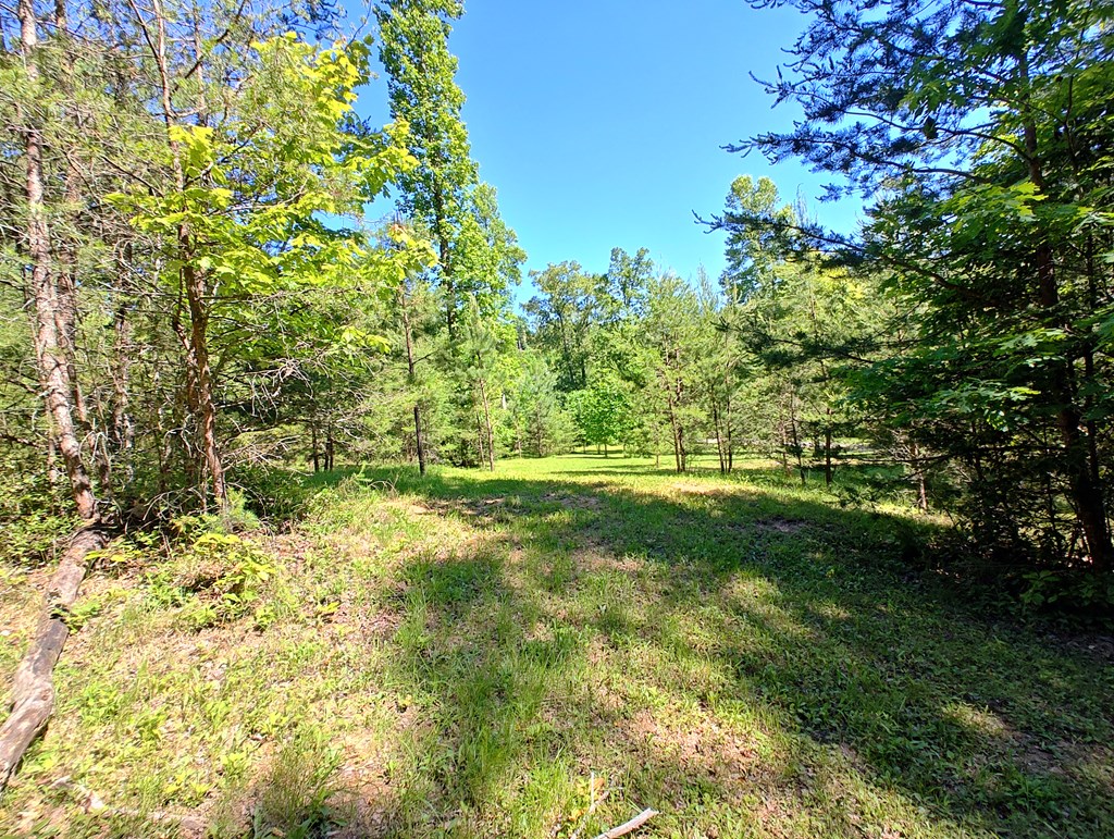 11 & 12 Cabin Run Lane Property Photo 5