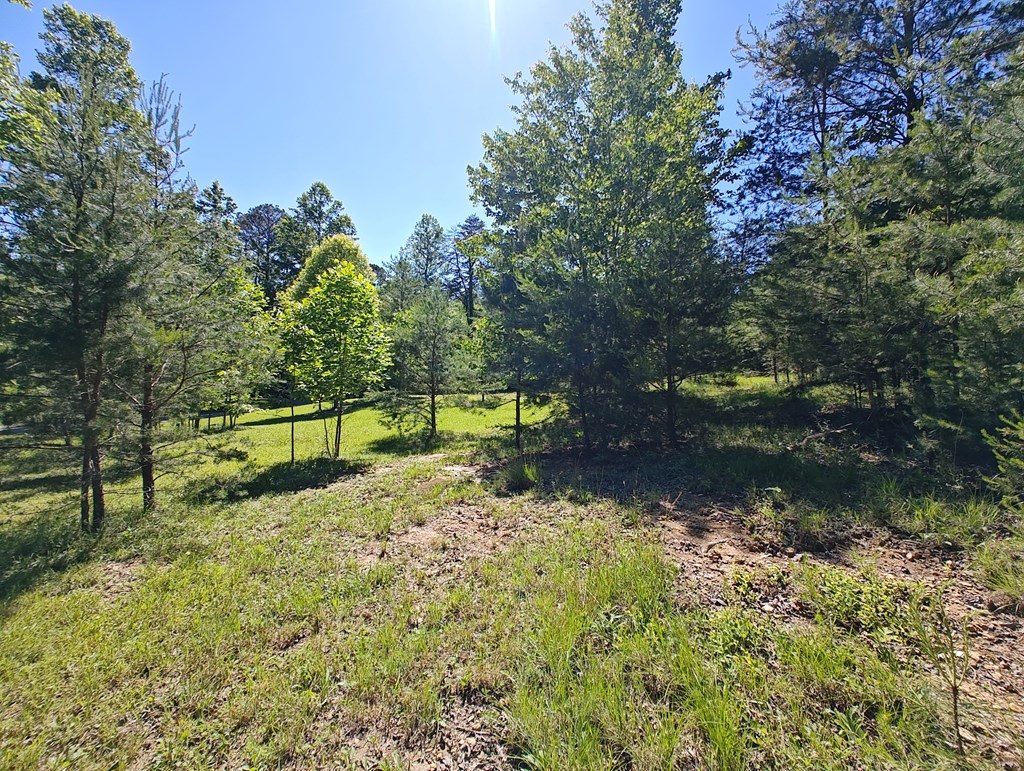 11 & 12 Cabin Run Lane Property Photo 6