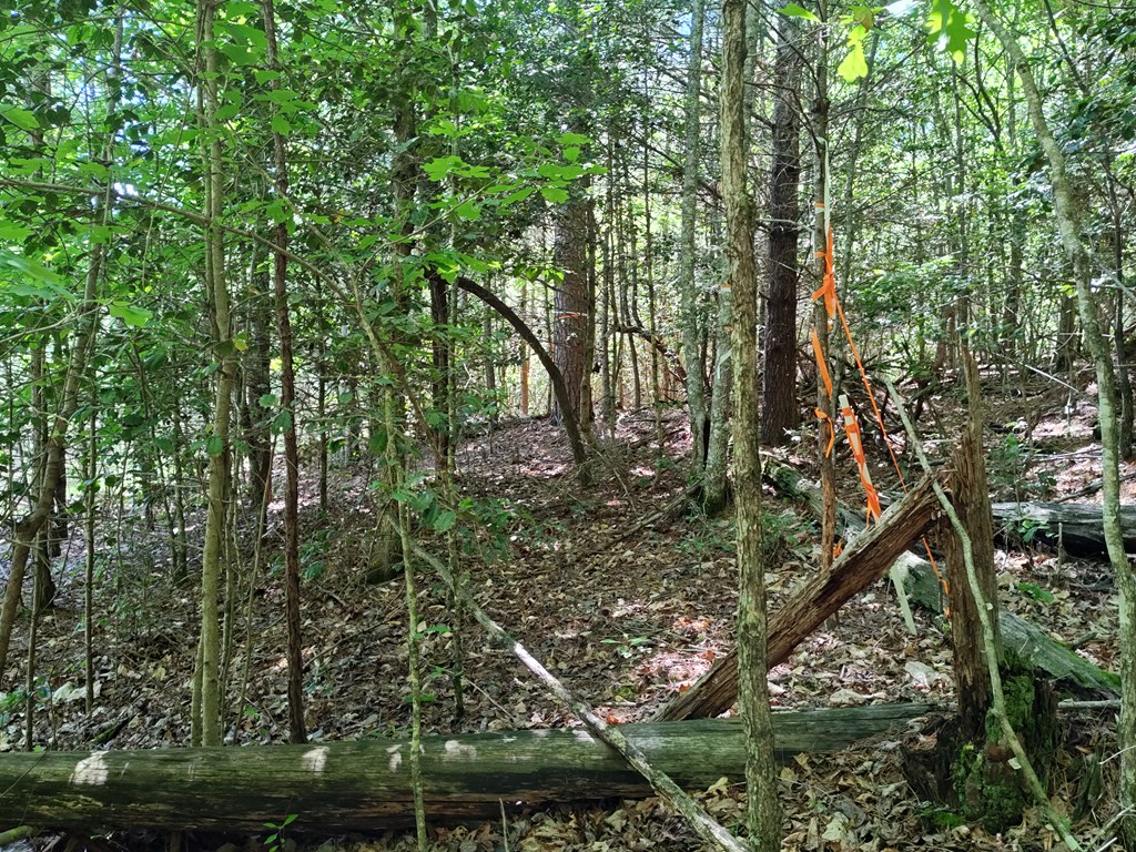 11 & 12 Cabin Run Lane Property Photo 7