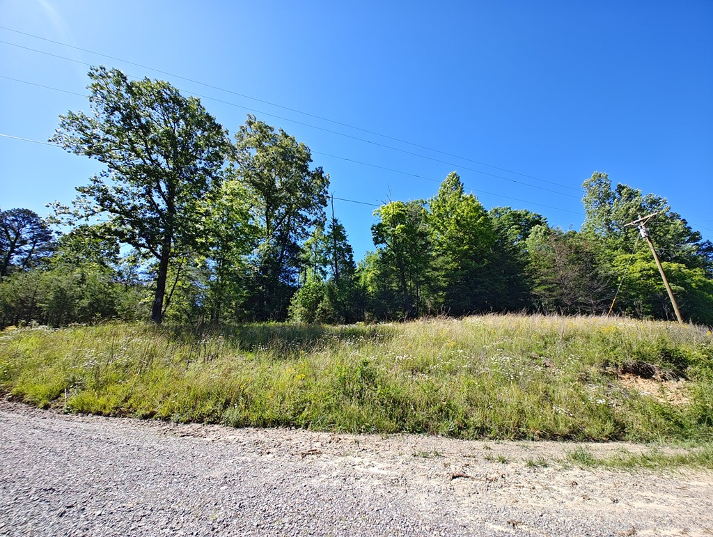 11 & 12 Cabin Run Lane Property Photo 8