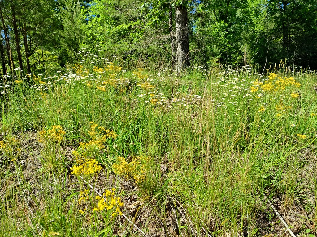 11 & 12 Cabin Run Lane Property Photo 11