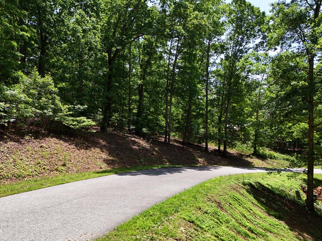 Lot 43 Cherrywood Hill Property Photo 1