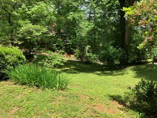 1275 Taylor Road Property Photo 45