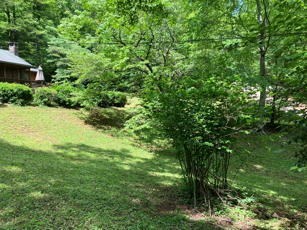 1275 Taylor Road Property Photo 46