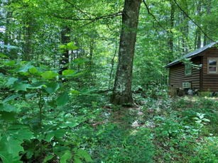 1275 Taylor Road Property Photo 51