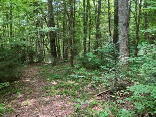 1275 Taylor Road Property Photo 52