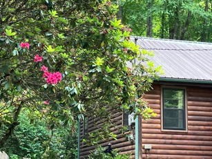 1275 Taylor Road Property Photo 55