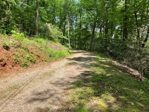 1275 Taylor Road Property Photo 59