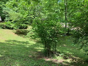 1275 Taylor Road Property Photo 60