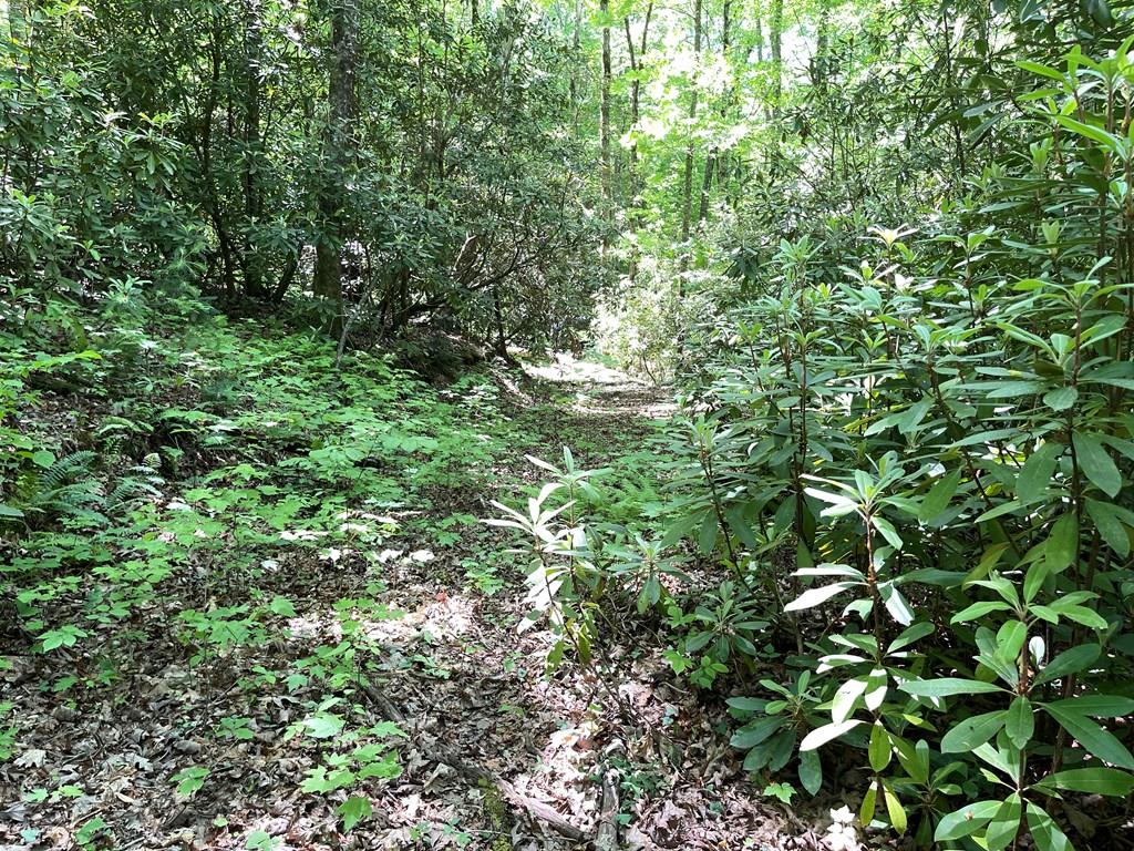 00 Cold Springs Lane Property Photo 1