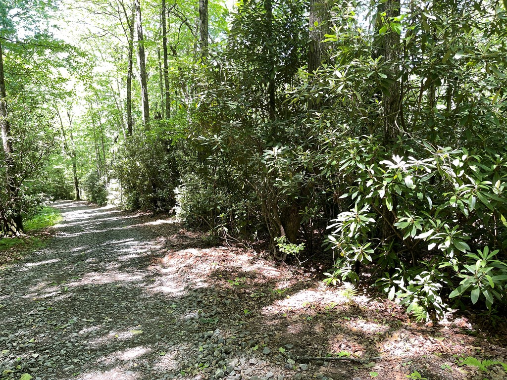 00 Cold Springs Lane Property Photo 4