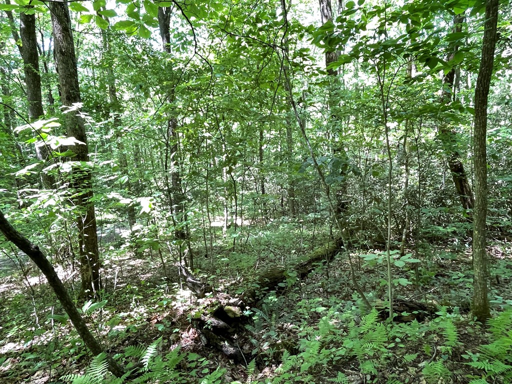00 Cold Springs Lane Property Photo 8