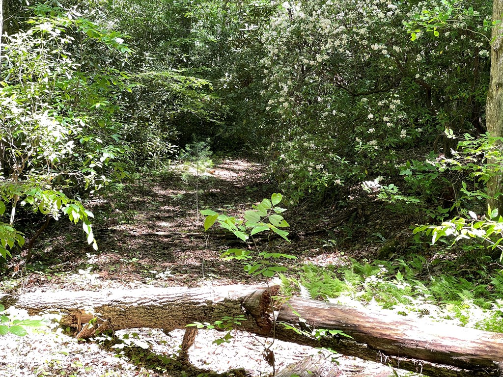 00 Cold Springs Lane Property Photo 13