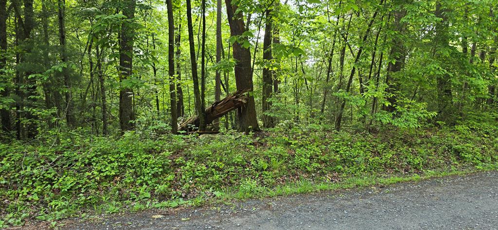 Lot 3760 Graham Court Property Photo 1