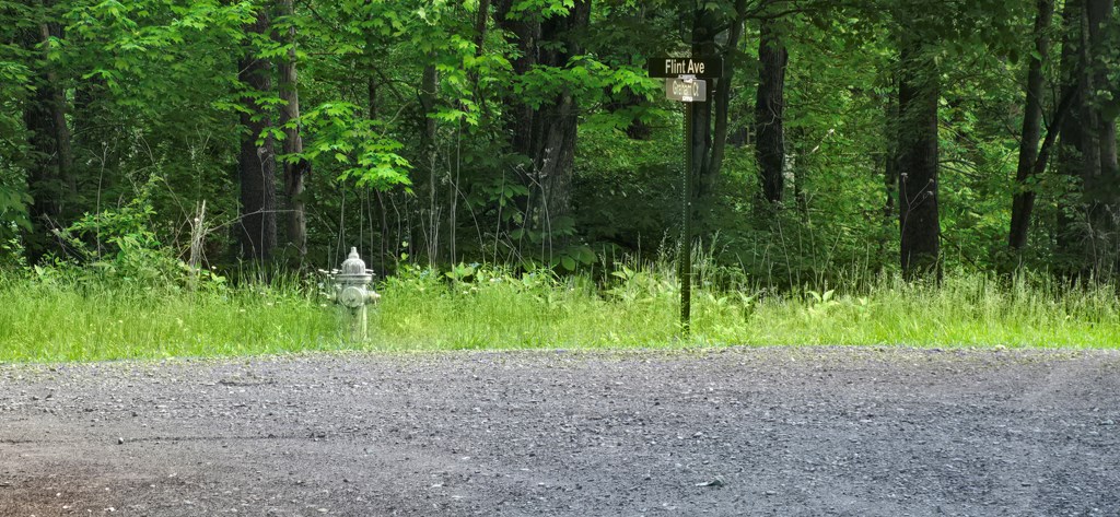 Lot 3760 Graham Court Property Photo 3