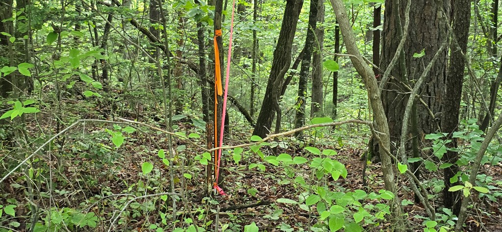 Lot 3760 Graham Court Property Photo 4