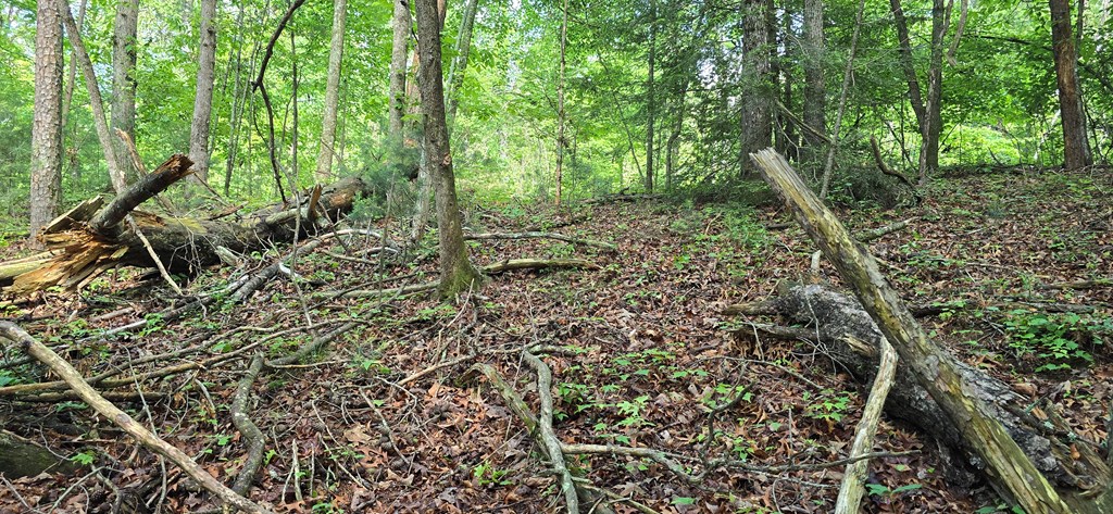 Lot 3760 Graham Court Property Photo 5