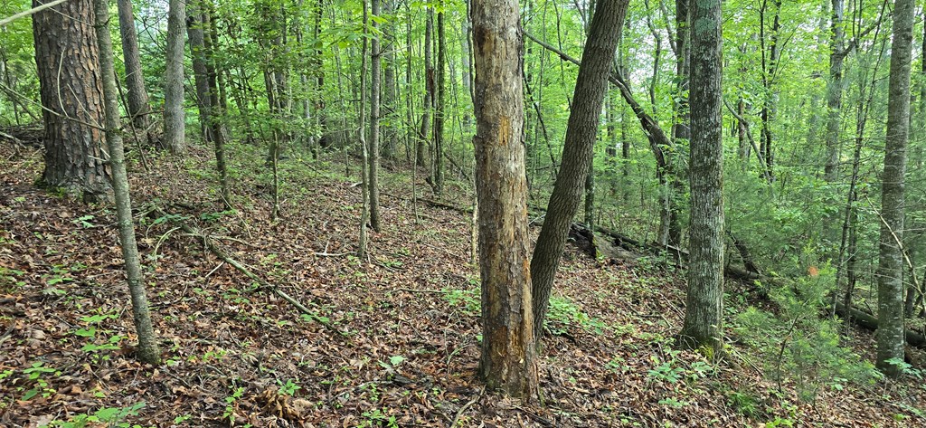 Lot 3760 Graham Court Property Photo 7