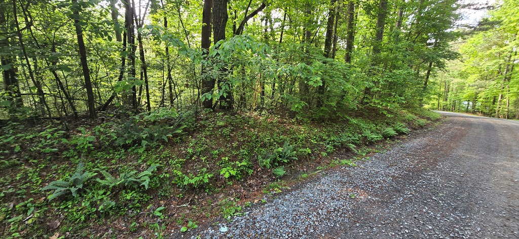 Lot 3760 Graham Court Property Photo 8