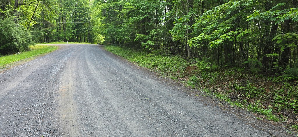 Lot 3760 Graham Court Property Photo 9