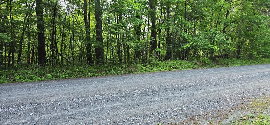 Lot 3760 Graham Court Property Photo 10
