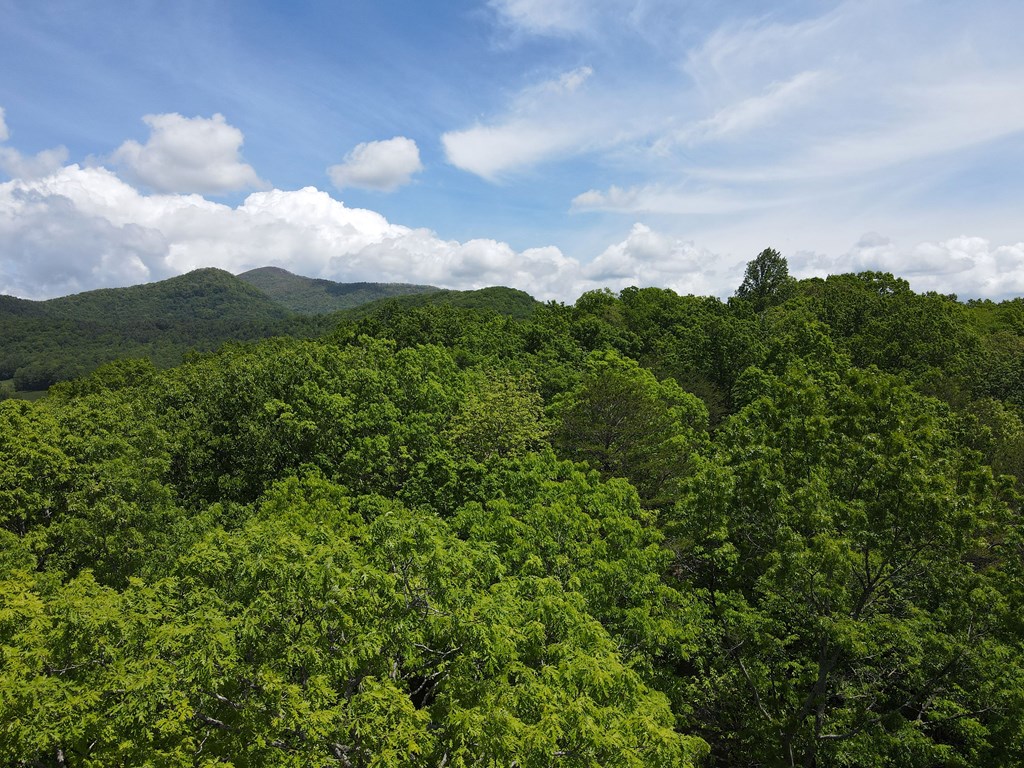 000 Hawkview Property Photo 10