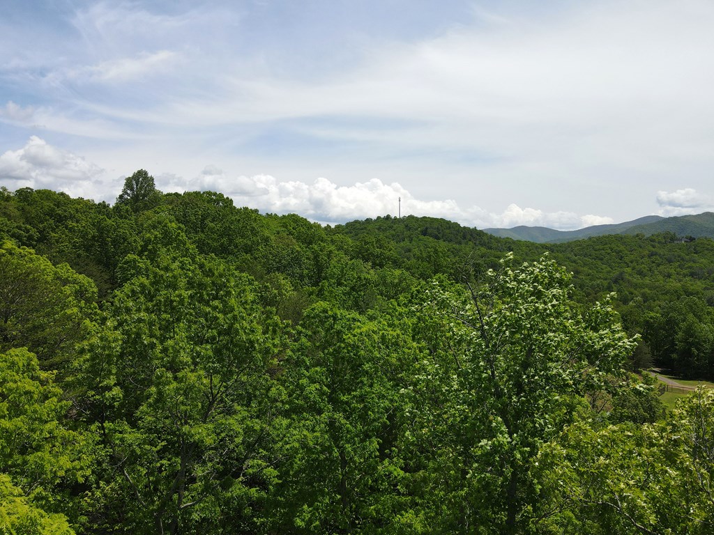 000 Hawkview Property Photo 11