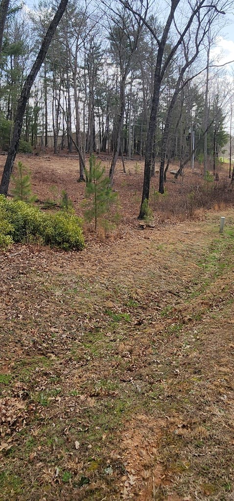 Lot 1 Highland Property Photo 5