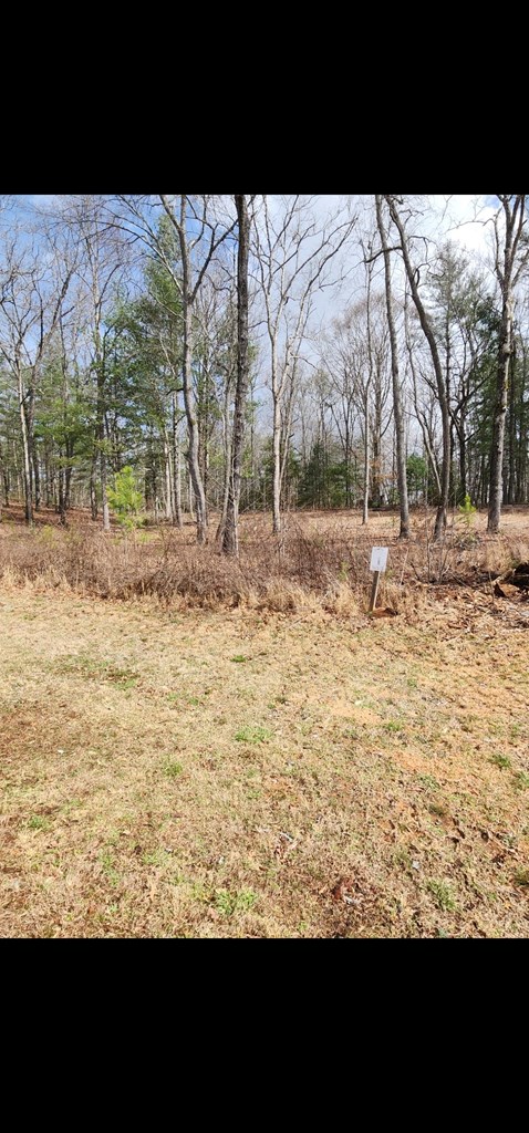 Lot 1 Highland Property Photo 6