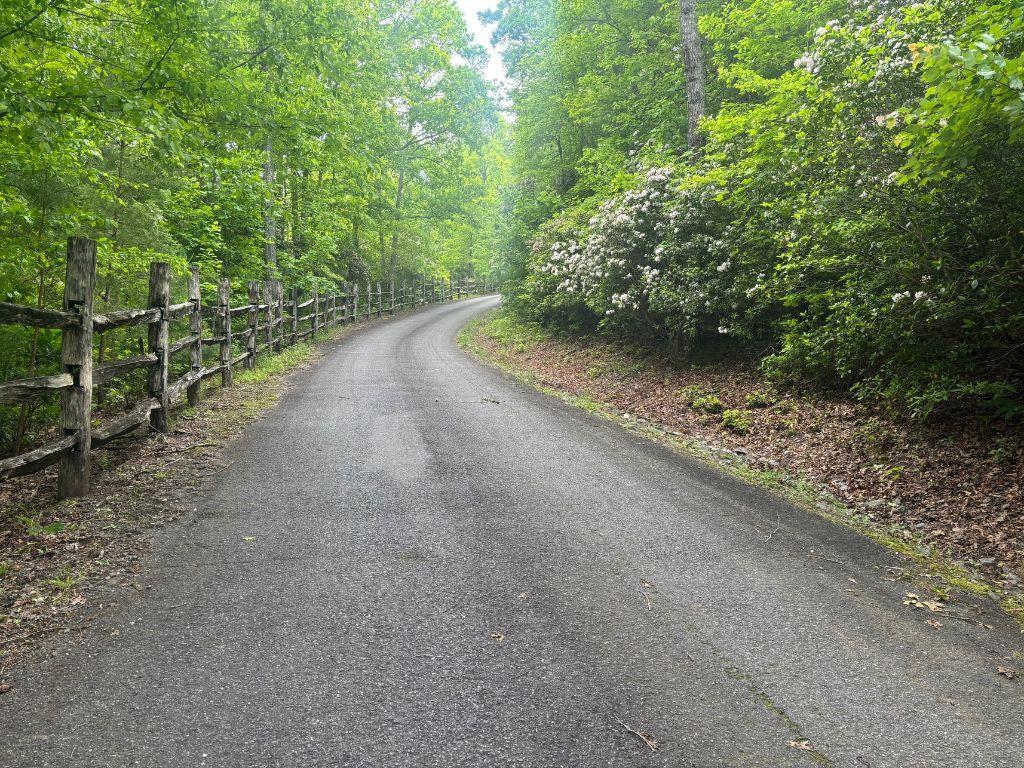 Lot 14 Whisper Woods Estates Property Photo 2