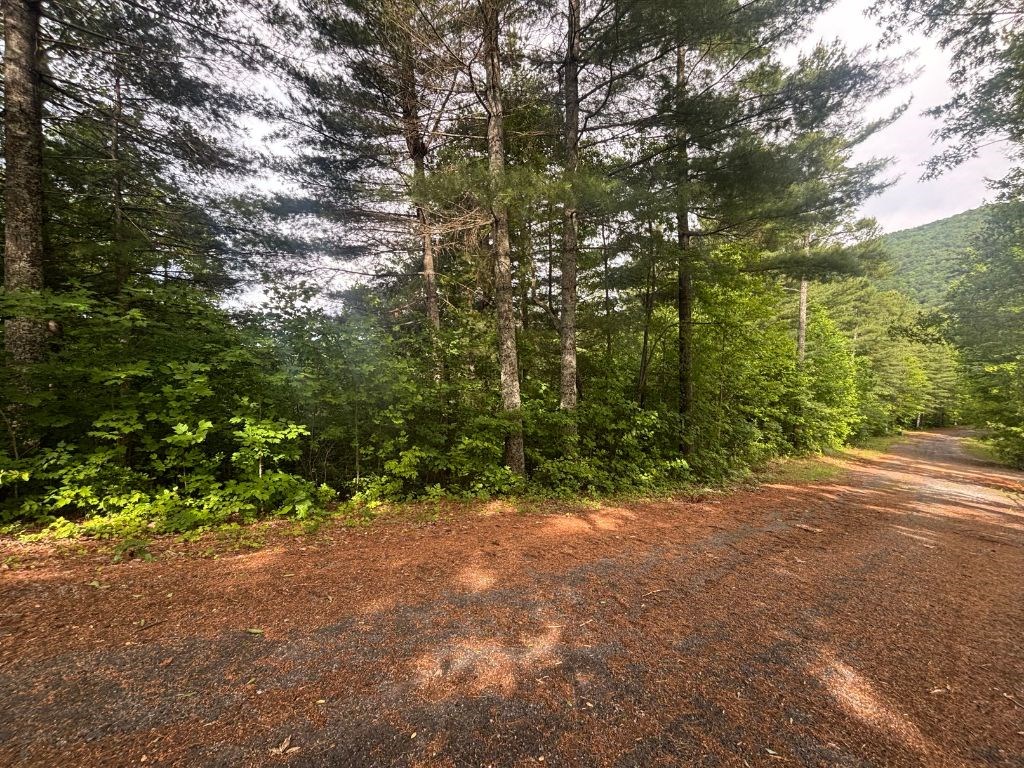 Lot 14 Whisper Woods Estates Property Photo 4