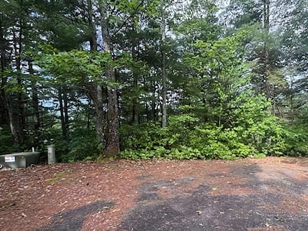 Lot 14 Whisper Woods Estates Property Photo 6