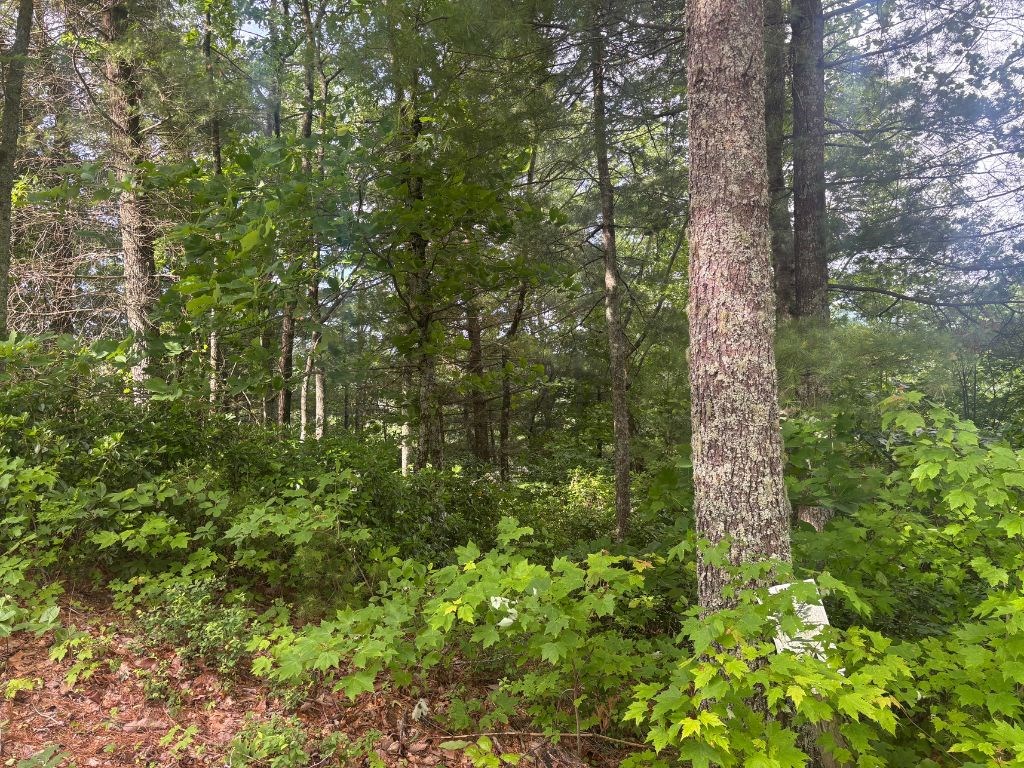 Lot 14 Whisper Woods Estates Property Photo 7