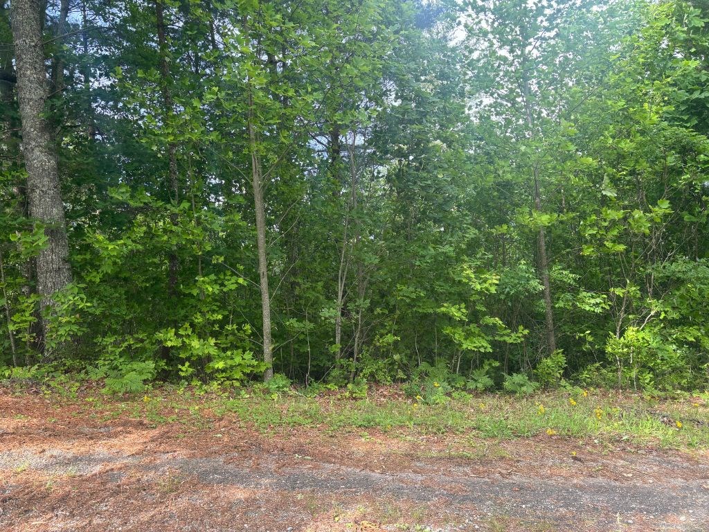 Lot 14 Whisper Woods Estates Property Photo 8