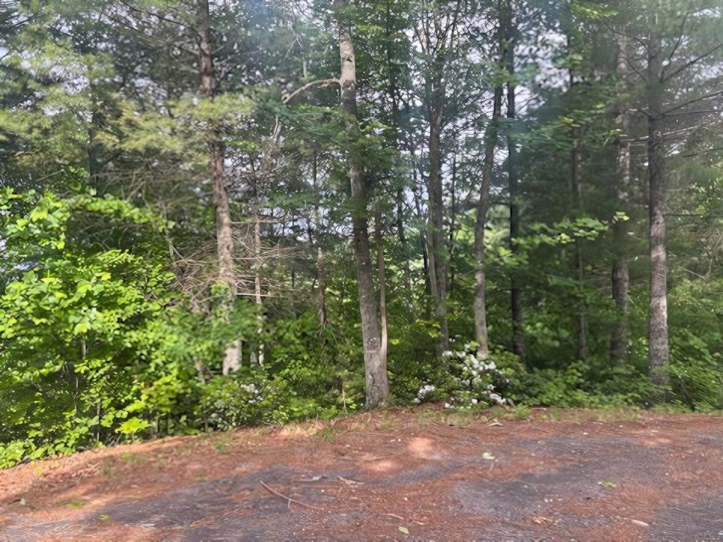 Lot 14 Whisper Woods Estates Property Photo 9