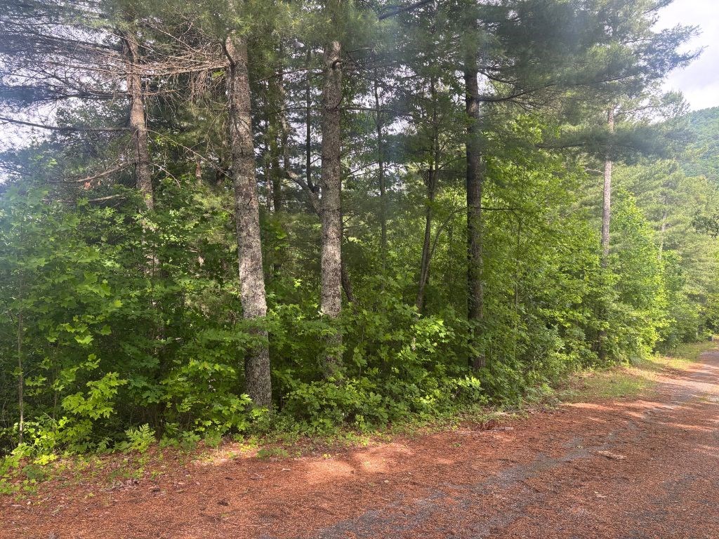 Lot 14 Whisper Woods Estates Property Photo 10