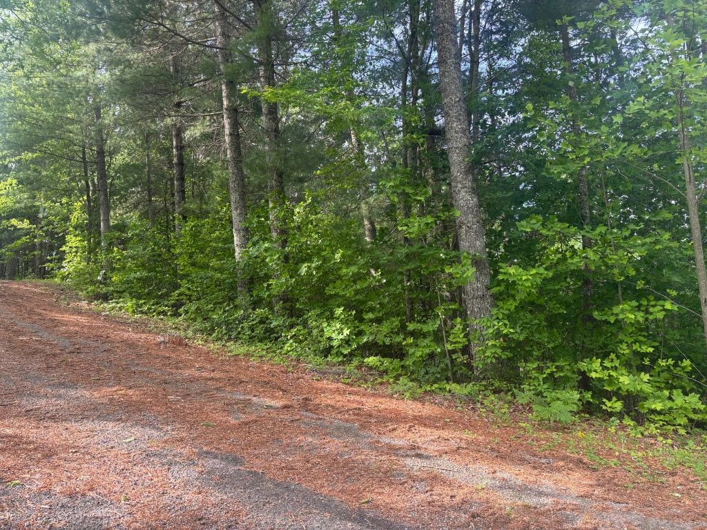 Lot 14 Whisper Woods Estates Property Photo 11