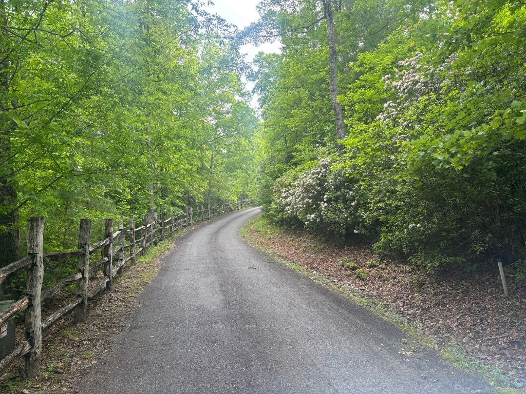 Lot 14 Whisper Woods Estates Property Photo 13