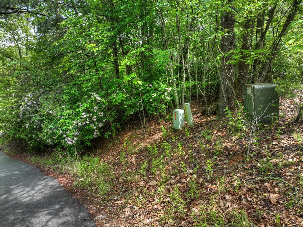 Lt 13 Ridge Road Property Photo 9