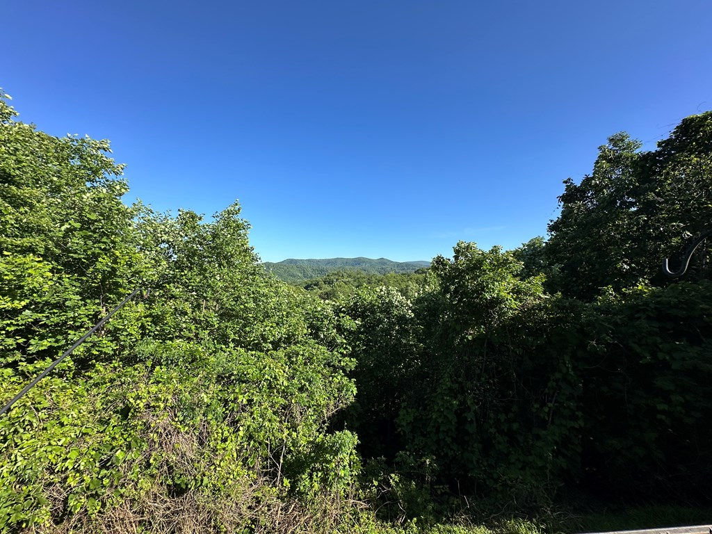 1207 Bullen Gap Road Property Photo 12