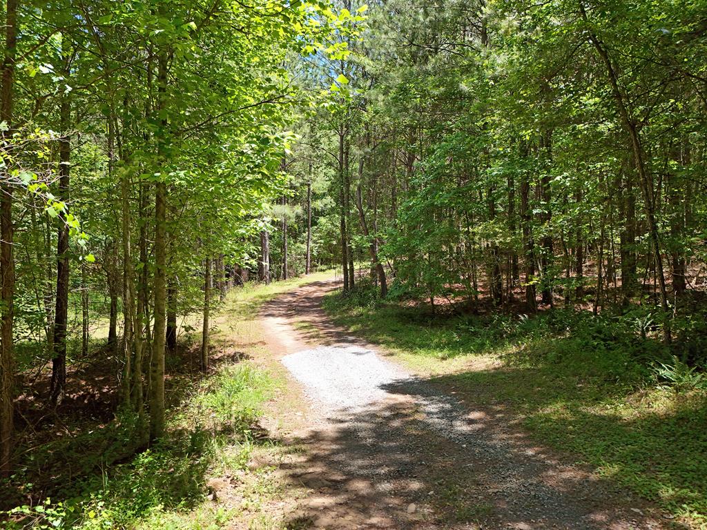 2 Carver Mill Road Property Photo 8