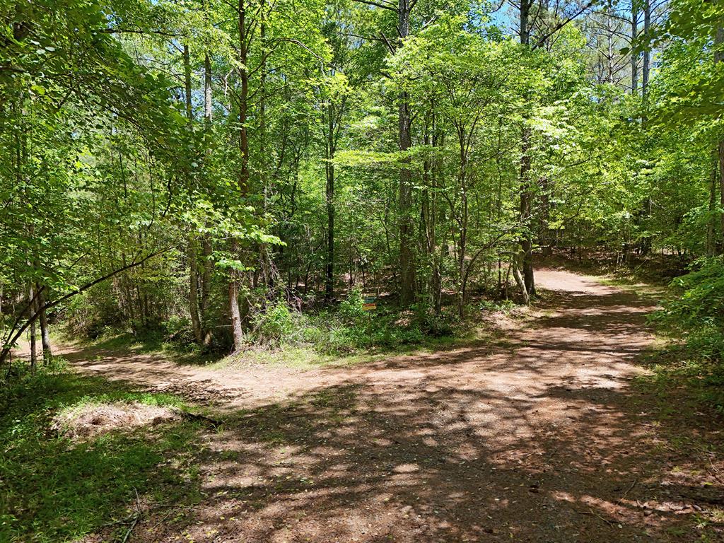 2 Carver Mill Road Property Photo 10