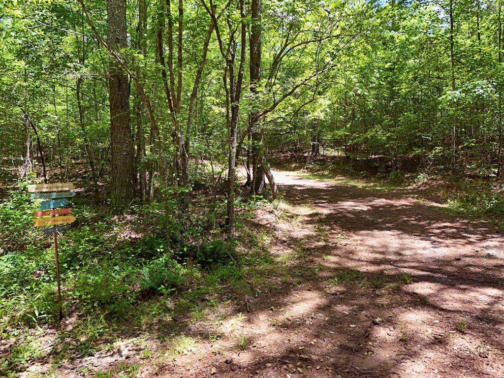 2 Carver Mill Road Property Photo 12