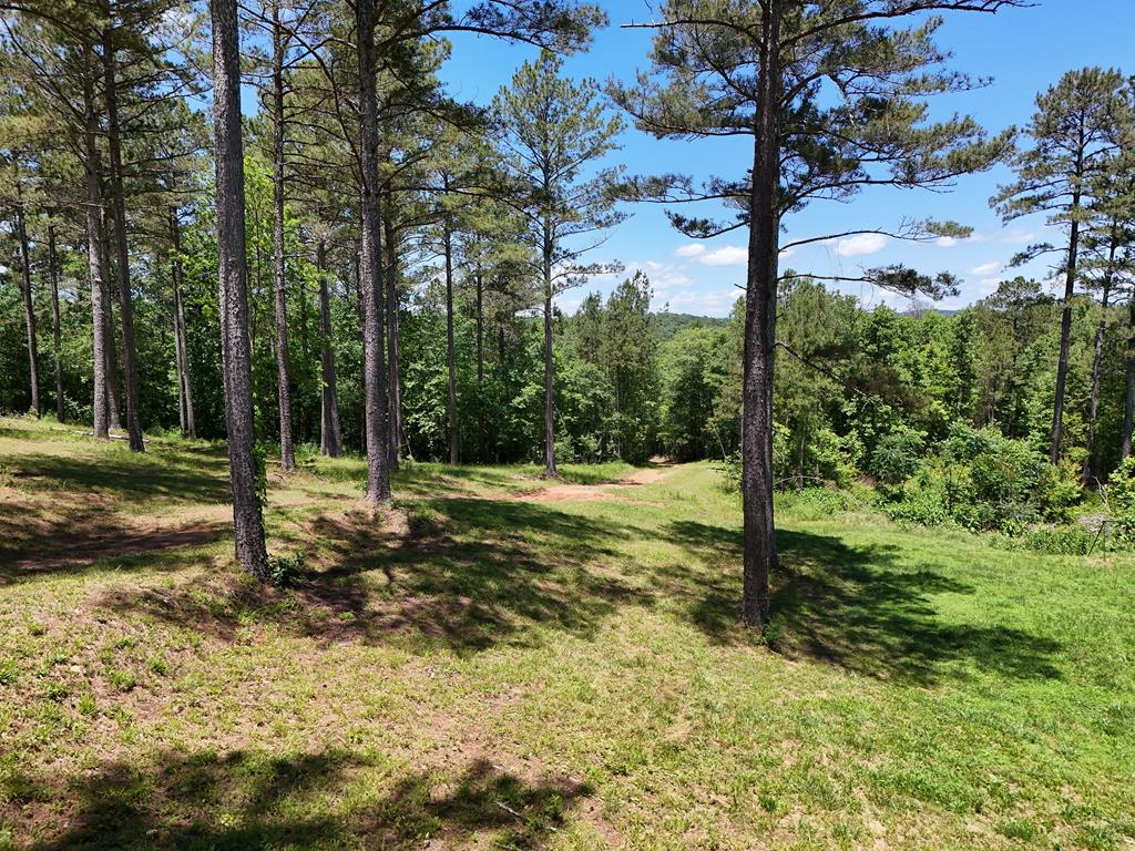 2 Carver Mill Road Property Photo 20